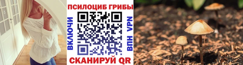 маркетплейс телеграм Туран Галлюциногенные грибы мицелий