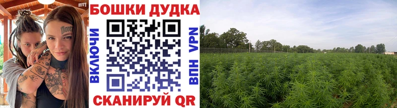 ОМГ ОМГ ссылка  Туран  Марихуана White Widow 